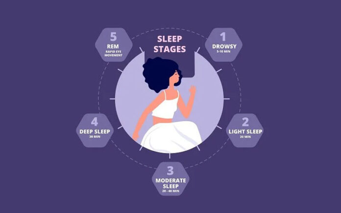 The Science of Sleep: Understanding Sleep Cycles and Health